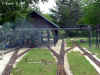 ost_011.jpg (62988 bytes)
