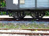 dfb_0318.jpg (175331 bytes)