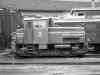 fo_0311_1.JPG (85208 bytes)