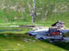 fo_0350.jpg (172012 bytes)