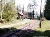 ren_0094.jpg (210456 bytes)