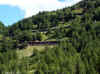 rhb_3839.jpg (299857 bytes)