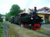 steyr_0009.jpg (159995 bytes)