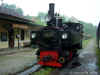 steyr_0020.jpg (147161 bytes)