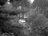 sup_022.jpg (46855 bytes)